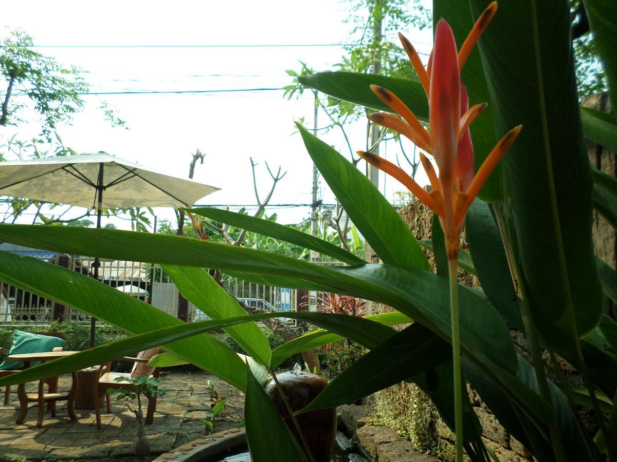 Baanwealaa Guesthouse (Adults Only) Chiang Mai Eksteriør billede
